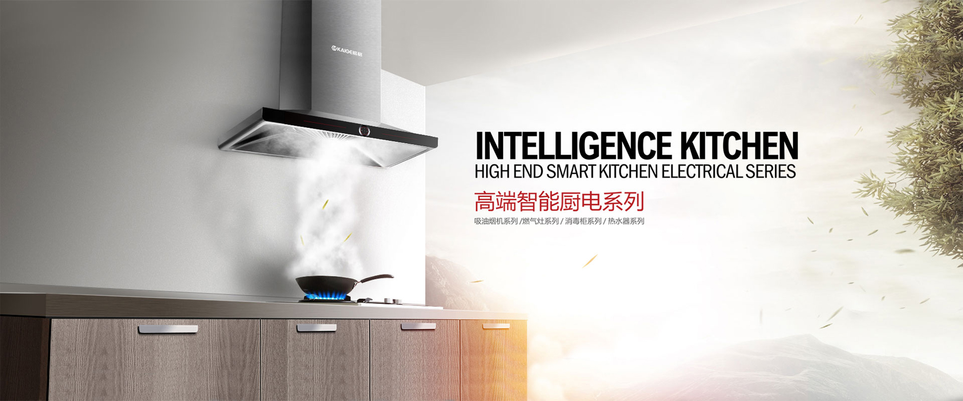 绍兴市楷格电器有限公司